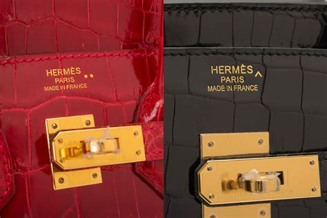 hermes eaten by crocodile|hermes crocodile vs alligator.